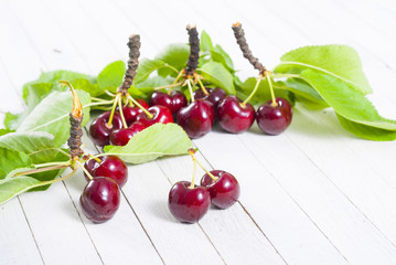 Cherry on white wooden table background