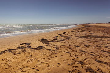Two people walking on a sandy beach with seaweed carried by the backwash, Bibione, Veneto, Italy