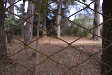 Grade de metal enferrujada na frente de bosque