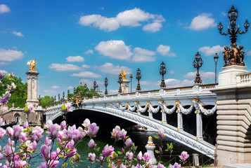 Bridge of Alexandre III in  Paris, France