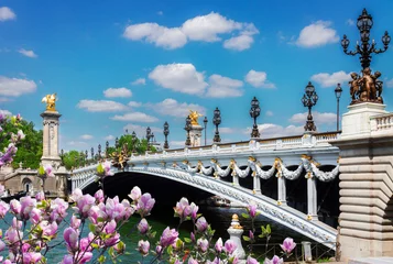 Photo sur Plexiglas Pont Alexandre III Bridge of Alexandre III in  Paris, France