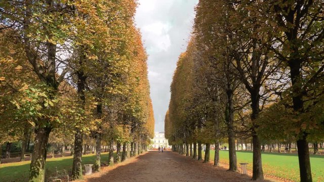 Steadicam shot of strolling on promenade lined with high trees. Walking in Luxembourg Gardens towards the Palace. Scene in autumn