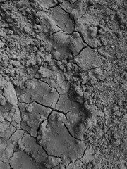 Cracked earth, cracks in the dark earth, texture of the natural surface, lack of water, environmental disaster, the problem of drought