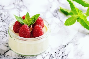Greek Yogurt Panna Cotta with raspberries. Panna Cotta isolated