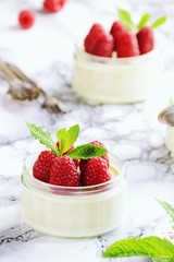 Greek Yogurt Panna Cotta with raspberries. Panna Cotta isolated