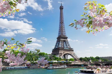 Türaufkleber Paris eiffel tour over Seine river