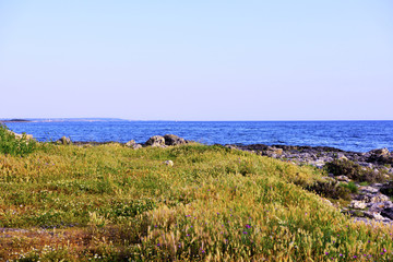 marine panorama seen from Torre Chianca cesarean port Salento Italy