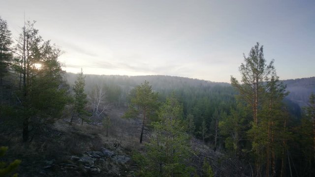 time lapse in mountains in coniferous forest near the river in the morning at sunrise with the fog on the height from the ground