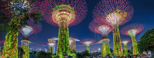 Foto op Plexiglas Singapore Panorama van tuinen langs de baai met kleurrijke verlichting op het blauwe uur in Singapore, Zuidoost-Azië. Populaire toeristische attractie in Marina Bay Area.