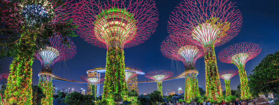 Panorama of Gardens by the Bay with colorful lighting at blue hour in Singapore, Southeast Asia. Popular tourist attraction in marina bay area.