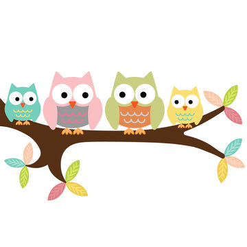 Four owls on a branch