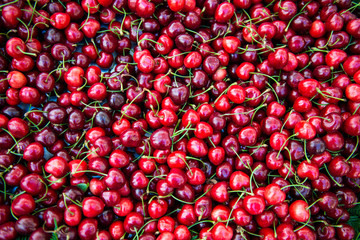 red cherry and berry 