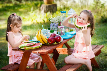 two adorable little girls eat bananas and a watermelon on a summer picnic
