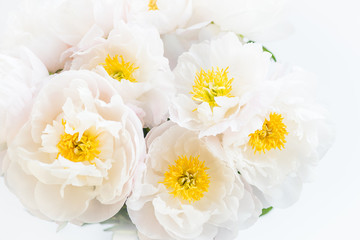 Beautiful bouquet of white Chinese peonies