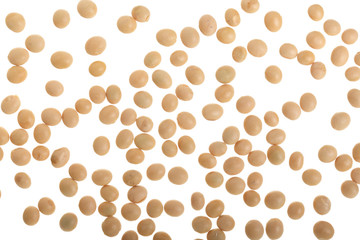soybeans isolated on white background top view