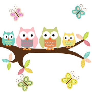 Four owls on a branch with butterflies