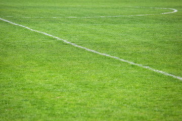 Obraz premium marking on the football field, background texture