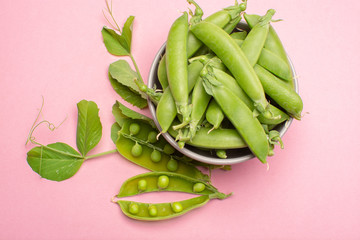 Fresh green ripe sugar snaps, sweet peas in bowl copy space close up on light pink background