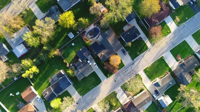 A stunning sight; Looking down on nice neighborhood with big trees blossoming in Springtime at first light of day.