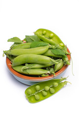 Fresh green ripe sugar snaps, sweet peas in bowl copy space close up isolated on white background