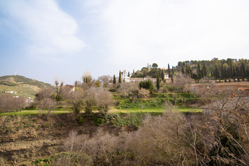 Fototapeta na wymiar The Alhambra 5