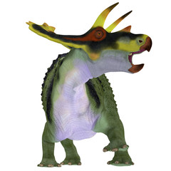 Fototapeta premium Anchiceratops Dinosaur on White - Anchiceratops ornatus was a herbivorous Ceratopsian dinosaur that lived in Alberta, Canada in the Cretaceous Period.