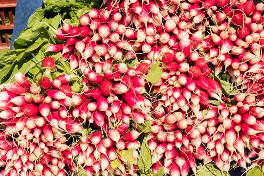 bunch of fresh red radishes on a bio market