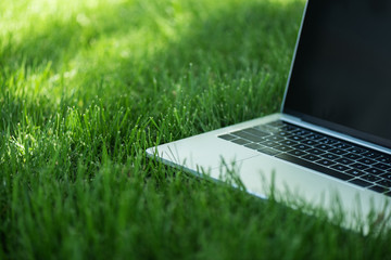 close up view of opened laptop with blank screen on green grass