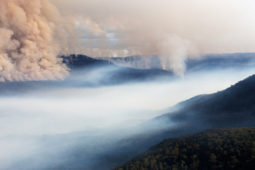 Australian mountain bushfire scene and layers near Katoomba in the Blue Mountains National Park .