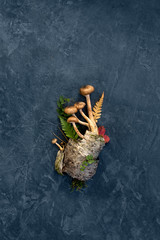 Decorative composition of mushrooms, birch bark and forest leaves on a dark concrete background. minimalism Top view