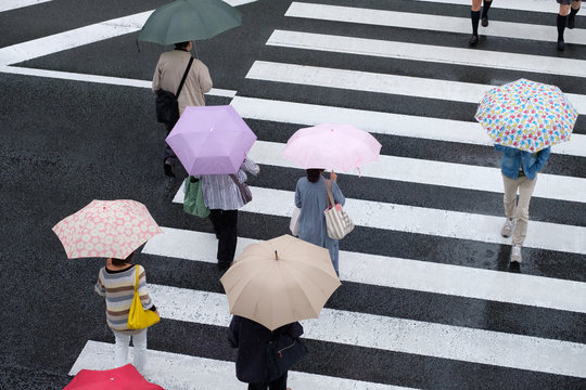 雨・傘