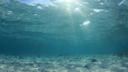 Fototapeta na wymiar Underwater blue ocean background 