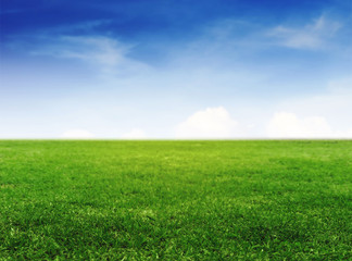 Green grass field under clear blue sky and white clouds