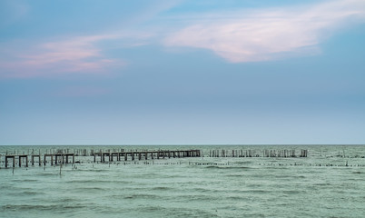 Obraz premium Beautiful sky as the scenic area of mangrove forests in Thailand.