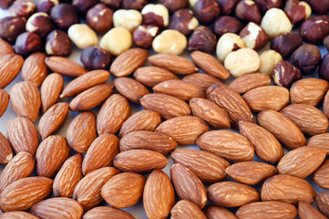 close up of almonds and hazelnut for background
