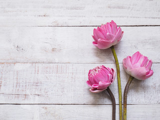 Pink lotus flowers on wooden table.