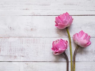 Photo sur Plexiglas fleur de lotus Fleurs de lotus rose sur table en bois.
