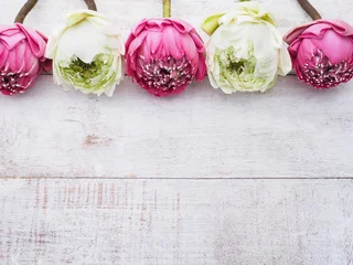 Photo sur Plexiglas fleur de lotus Pink lotus flowers on wooden table.