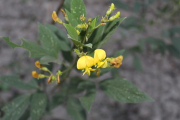 photography my photos photo download free pictures google photos google images photograph