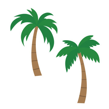 Set of vector palm illustrations, isolated on white background - Flat