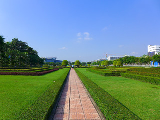 walkway with green grass in the park