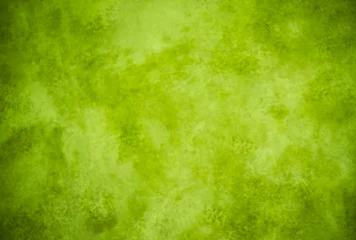Foto op Plexiglas Lime green painterly background texture © Elane Graves