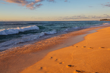Hawaiian beach