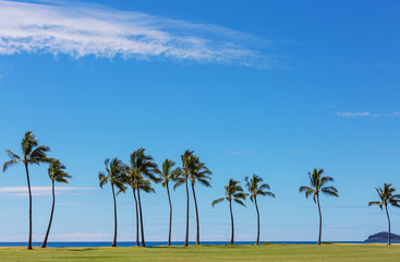 Fototapeta na wymiar Hawaiian beach
