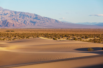 Sand dunes in California