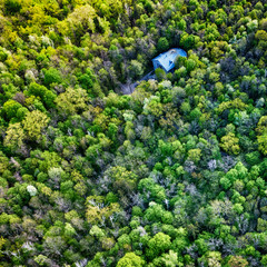 Top view of the green spring forest.Beautiful natural scenery . Aerial view