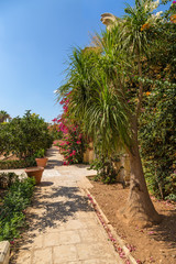 Fototapeta premium Naxxar, Malta. Picturesque alley in the gardens of Palazzo Parisio