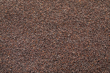 Brown Mustard Seeds Also Know as Rai Spice Background