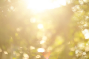 abstract color full bokeh background with light