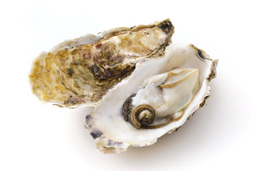 生牡蠣　Oysters